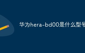 화웨이 hera-bd00은 어떤 모델인가요?