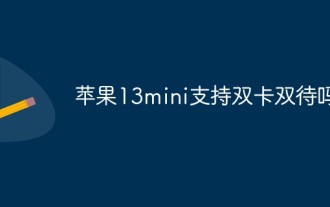 Apple 13mini prend-il en charge la double veille double SIM ?