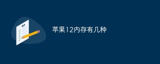 苹果12内存有几种