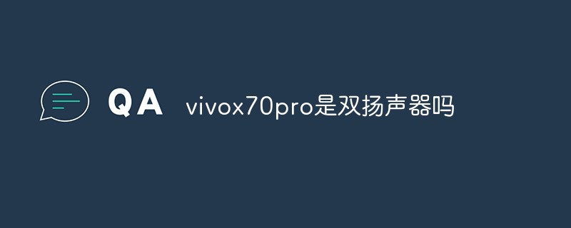 vivox70pro에는 듀얼 스피커가 있나요?