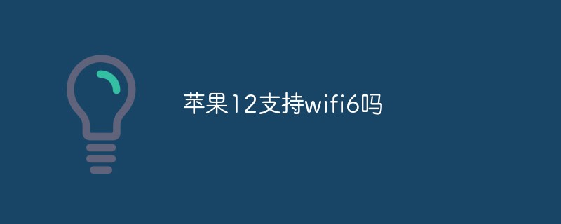 苹果12支持wifi6吗