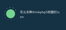 怎么去除thinkphp5标题栏icon