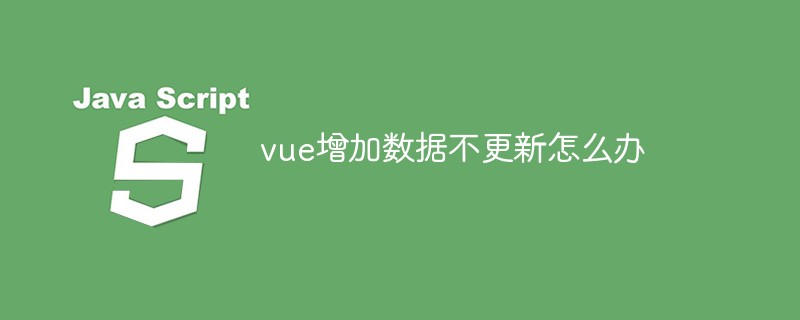 Vue가 데이터를 추가했지만 업데이트하지 않으면 어떻게 해야 하나요?