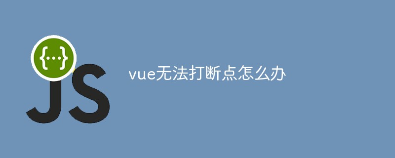 What should I do if Vue cannot break the point?