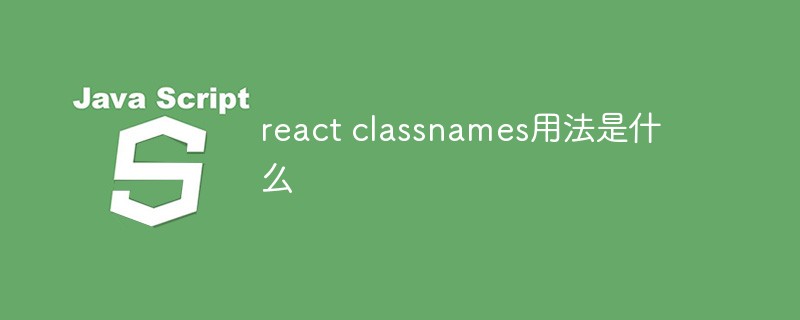 Was ist die Verwendung von React-Klassennamen?