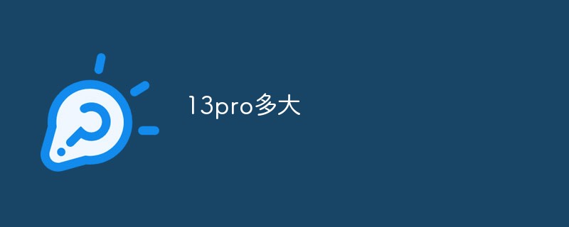 13proってどのくらいの大きさですか？