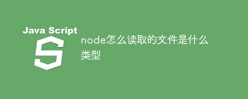 What type of file does node read?