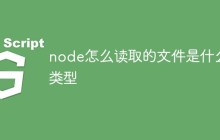 node怎么读取的文件是什么类型