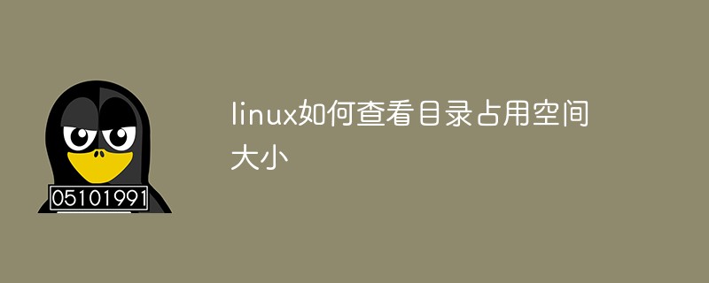 linux如何查看目录占用空间大小