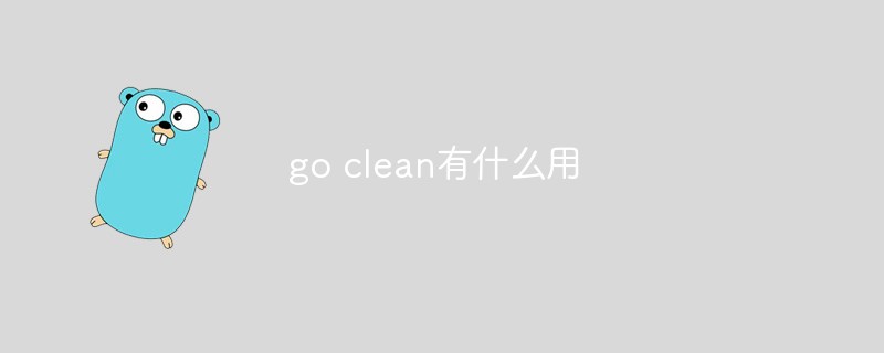 Go Clean의 용도는 무엇입니까?