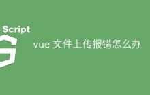 vue 文件上传报错怎么办