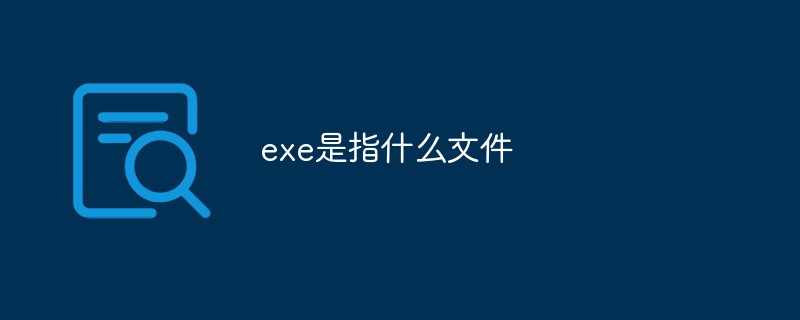 exeとはどのファイルを指すのでしょうか？