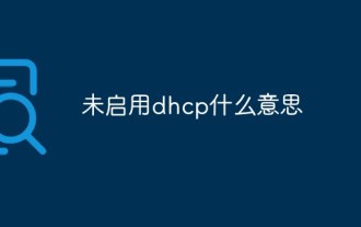 Was bedeutet DHCP nicht aktiviert?