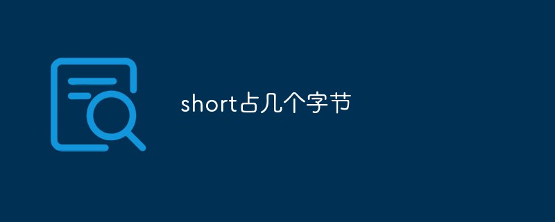 Short는 몇 바이트를 차지합니까?