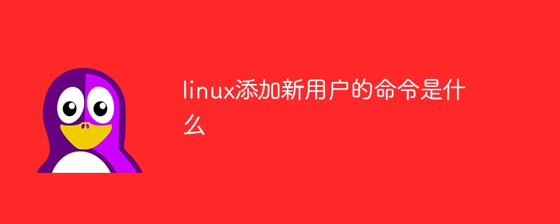 linux添加新用户的命令是什么