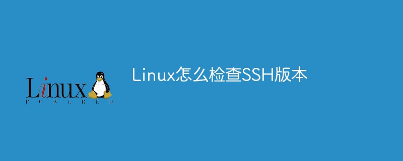 Linux에서 SSH 버전을 확인하는 방법