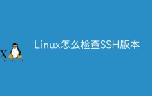 Linux怎么检查SSH版本