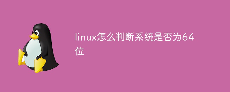 linux怎么判断系统是否为64位