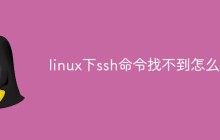 linux下ssh命令找不到怎么办