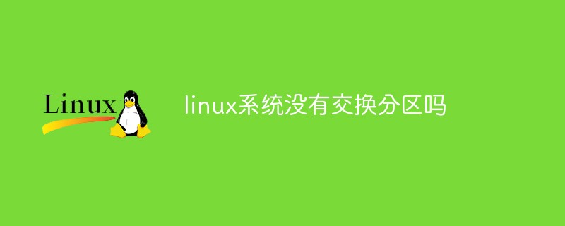 Does the linux system not have a swap partition?