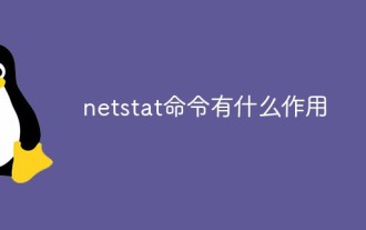 What does the netstat command do?
