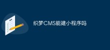 DreamWeaver CMS はミニ プログラムを構築できますか?