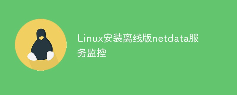 Erfahren Sie, wie Sie die Offline-Version von Netdata Service Monitoring schnell unter Linux installieren