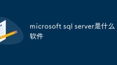 마이크로소프트 SQL 서버란 어떤 소프트웨어인가요?