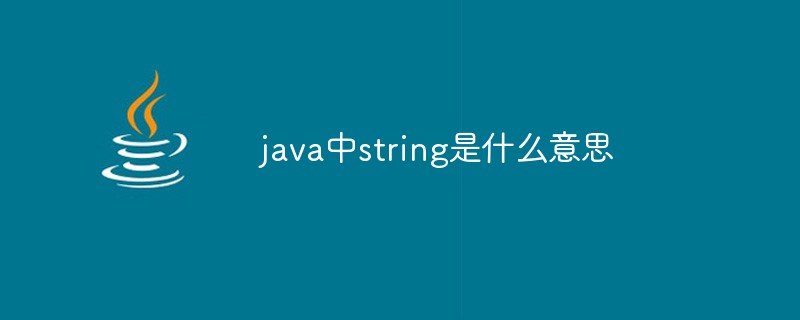java中string是什么意思
