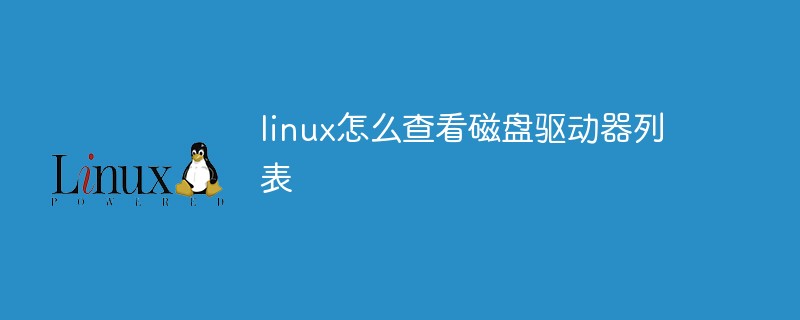 linux怎么查看磁盘驱动器列表