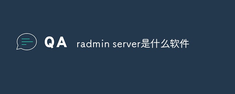 What software is radmin server?