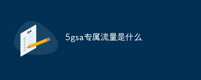 5gsa专属流量是什么