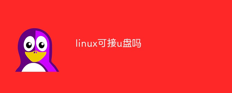 linux可接u盘吗