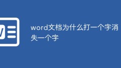 word文檔為什麼要打個字消失一個字