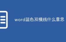 word蓝色双横线什么意思