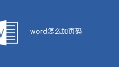 word怎麼加頁碼