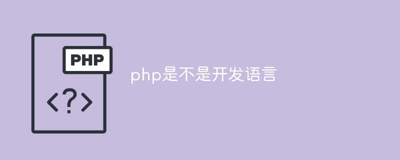 php是不是开发语言