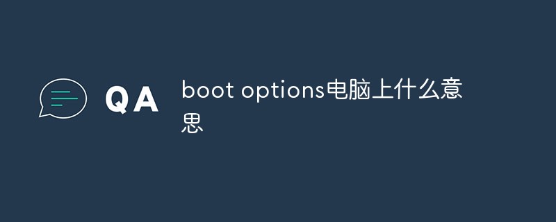 boot options電腦上什麼意思