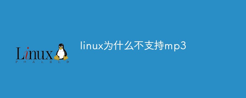 linux为什么不支持mp3