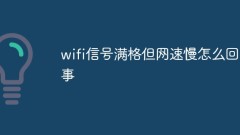 Why is the wifi signal full but the network speed is slow?