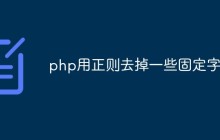 php中怎么利用正则去掉一些固定字符