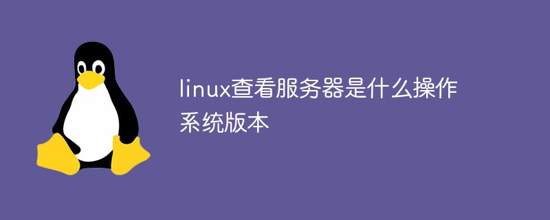 linux查看服务器是什么操作系统版本