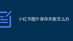 Was tun, wenn Xiaohongshu-Bilder nicht gespeichert werden können?