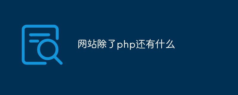 Quels autres langages de création de sites Web existe-t-il en plus de PHP ?