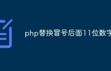 php如何替换冒号后面的11位数字