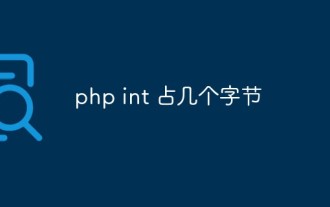 How many bytes does the int type in PHP take up?