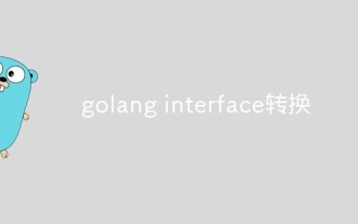 golangでインターフェースの型を変換する方法