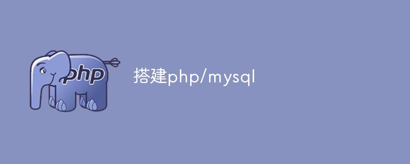 Erstellen Sie eine PHP+MySQL-Entwicklungsumgebung (Schrittfreigabe)