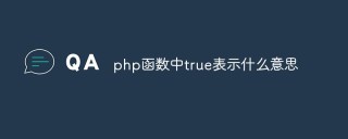 php函数中true表示什么？怎么用？