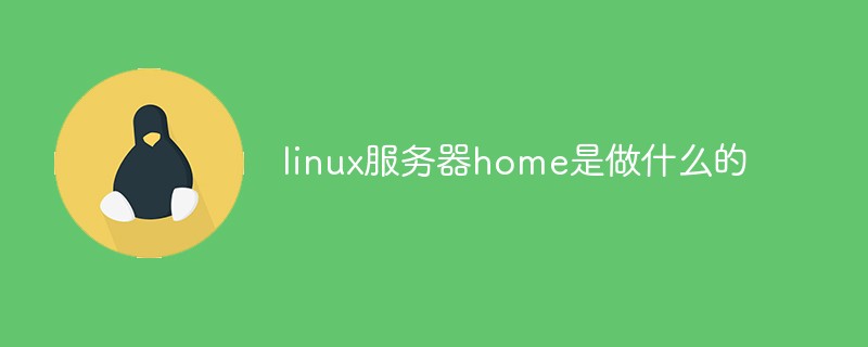 What does linux server home do?